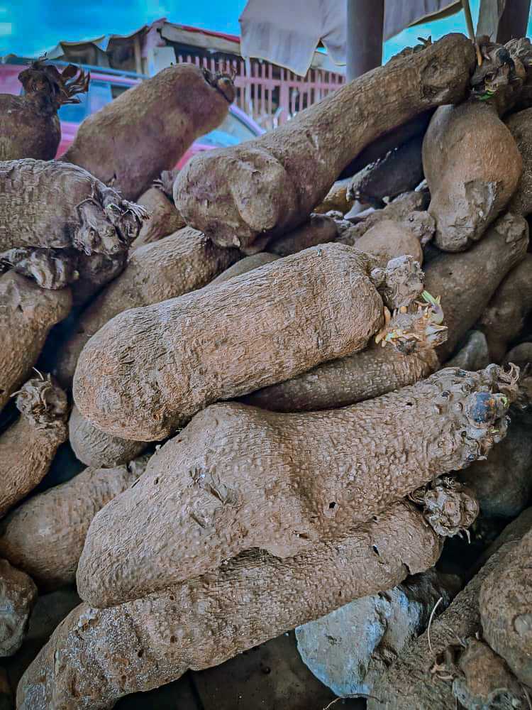 Yam tubers piled high for sale at a market in Nigeria