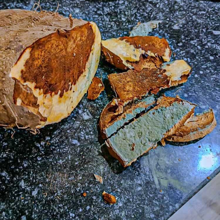A yam cut open to show rot spreading inside the tuber