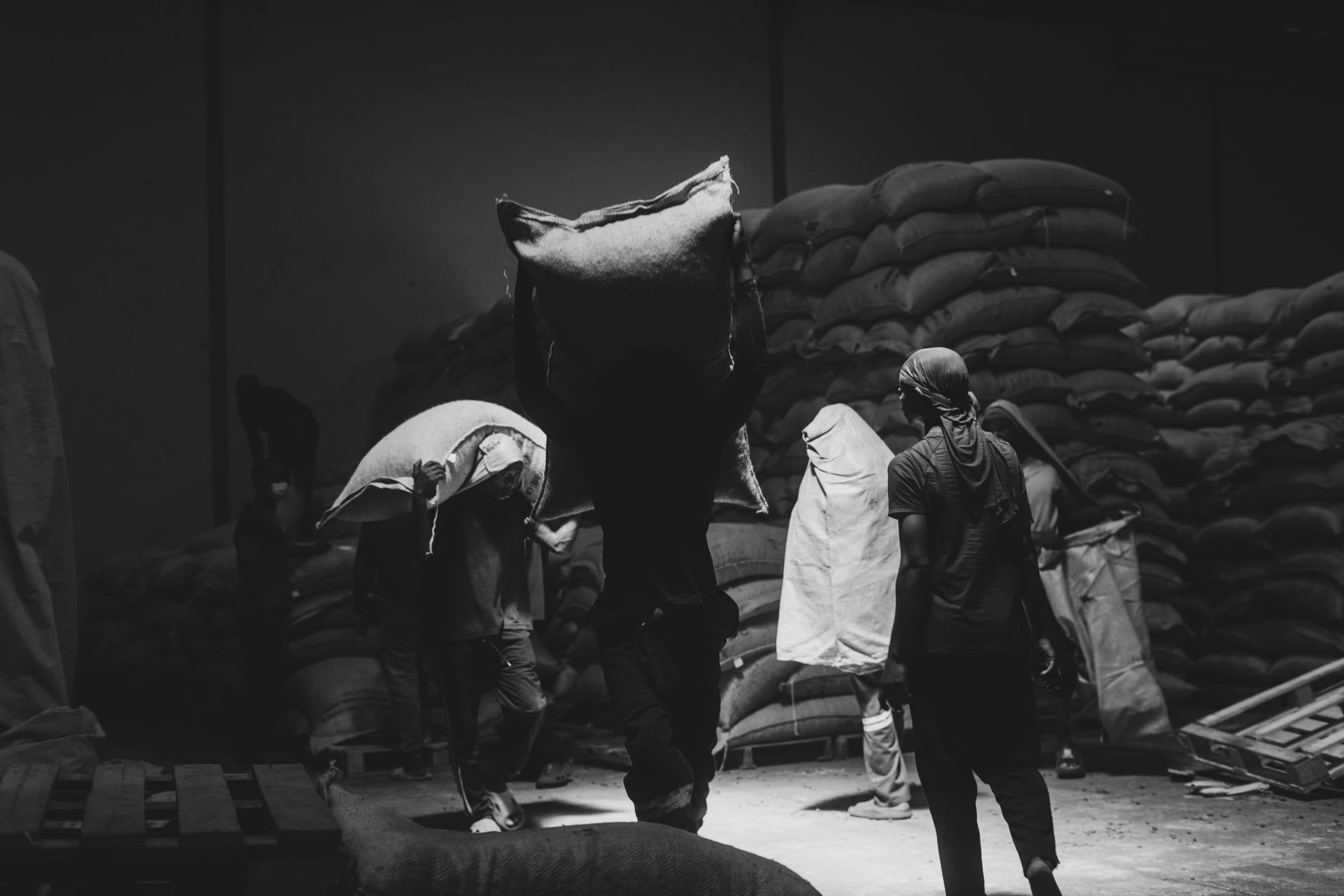 Workers haul sacks between high stacks of grain bags in a warehouse